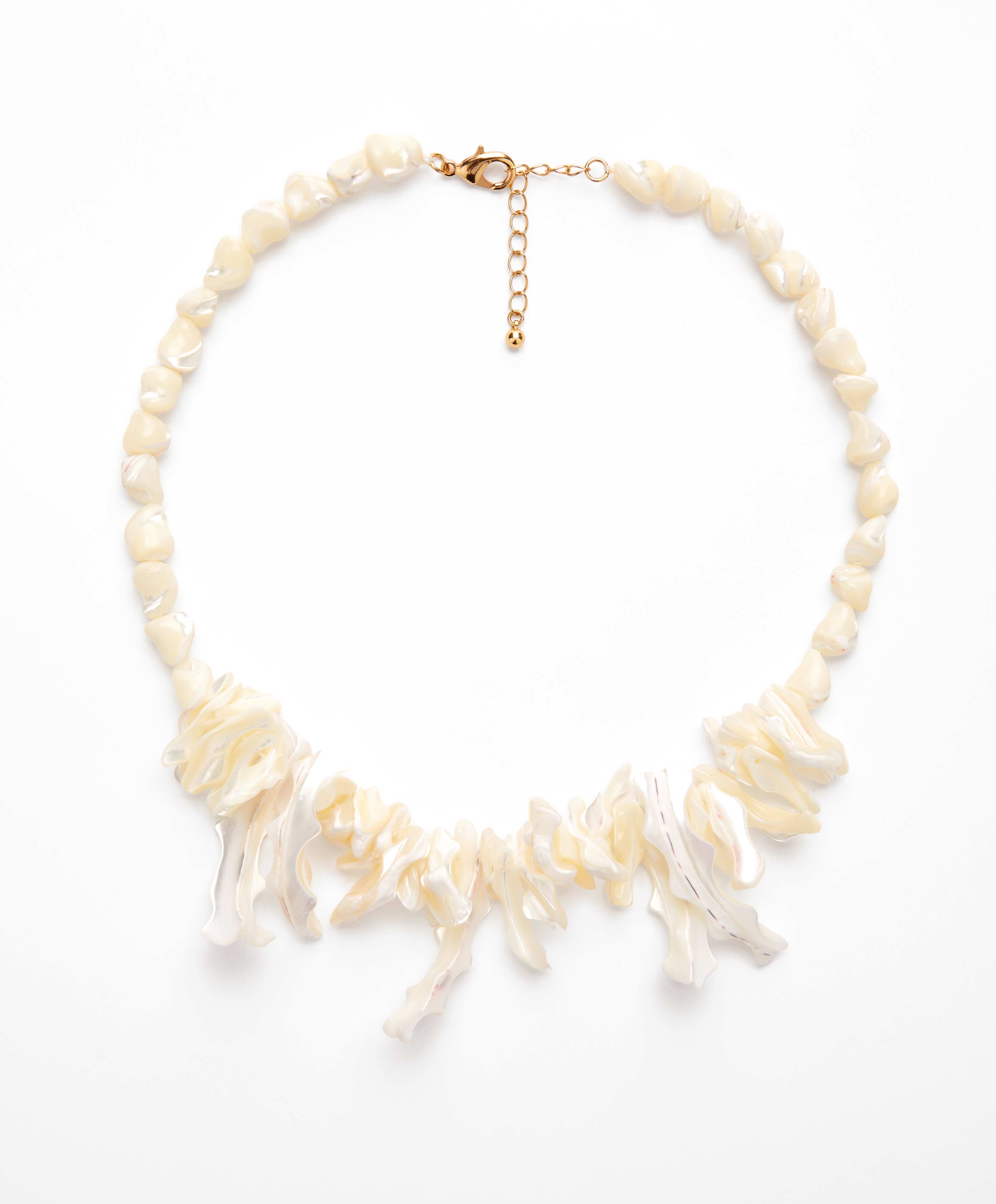 Single on sale seashell necklace