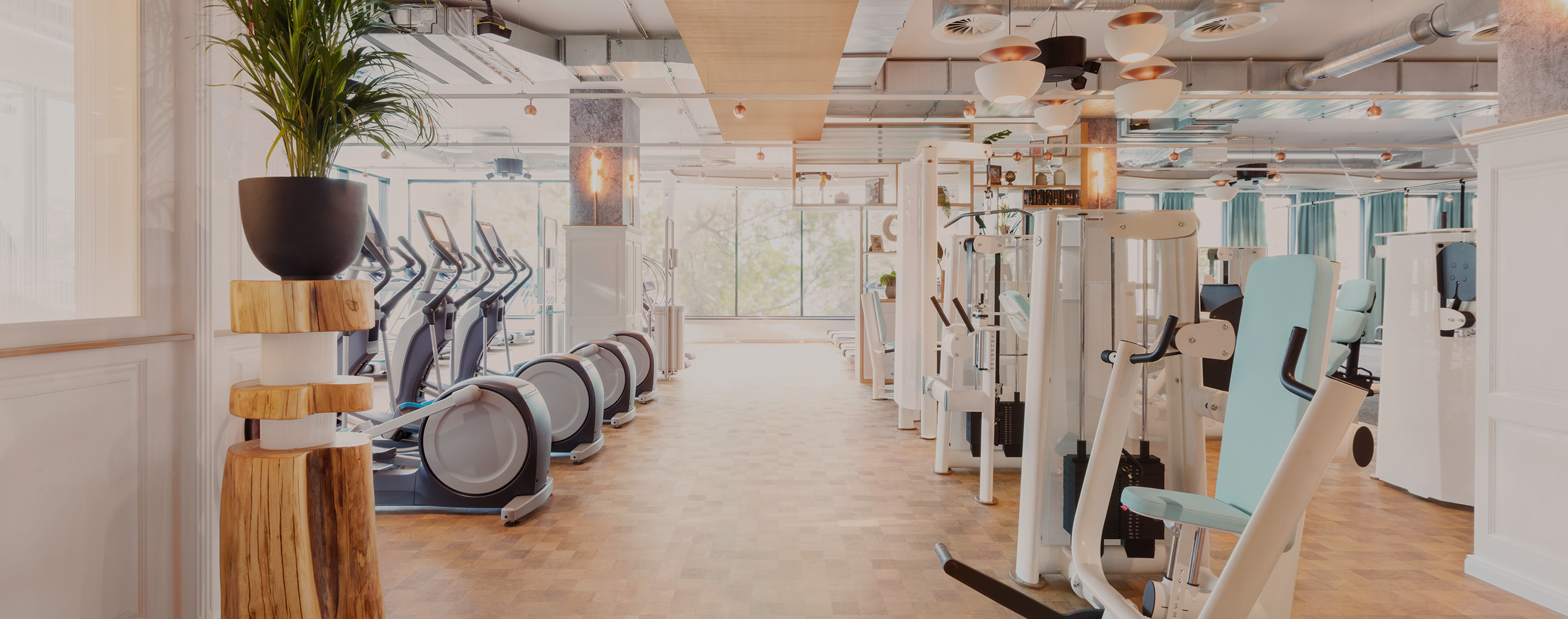 John Reed Womens Club Gym Collabs Kadın modasında 2019 sonbahar kış