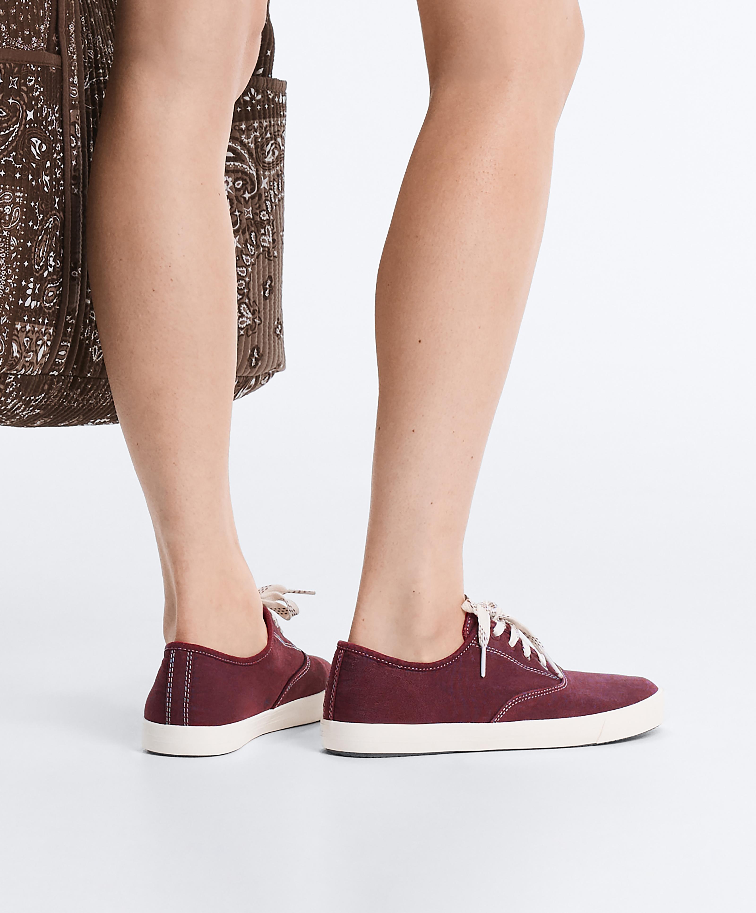 Canvas trainers — BURGUNDY