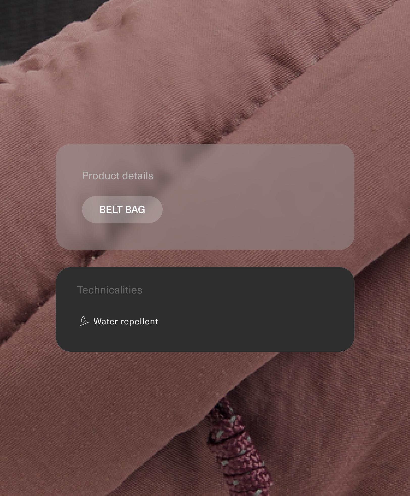 Water repellent nylon belt bag Water repellent nylon belt bag