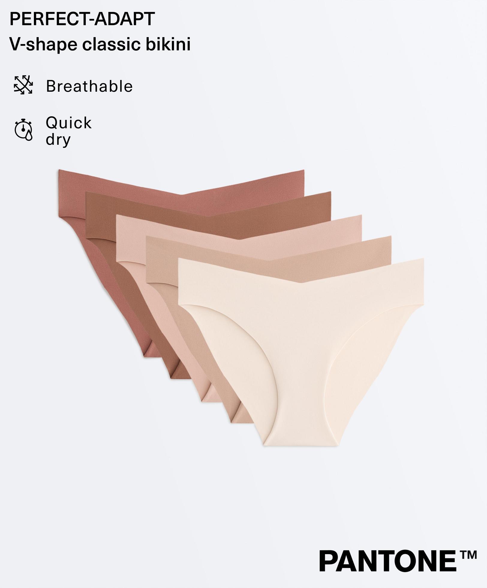 5 invisible polyamide blend PANTONE™ V-cut classic briefs — BEIGE