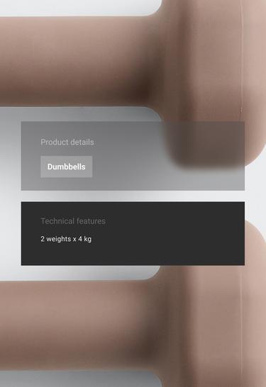 2 x 4kg dumbbells — DARK MINK 2