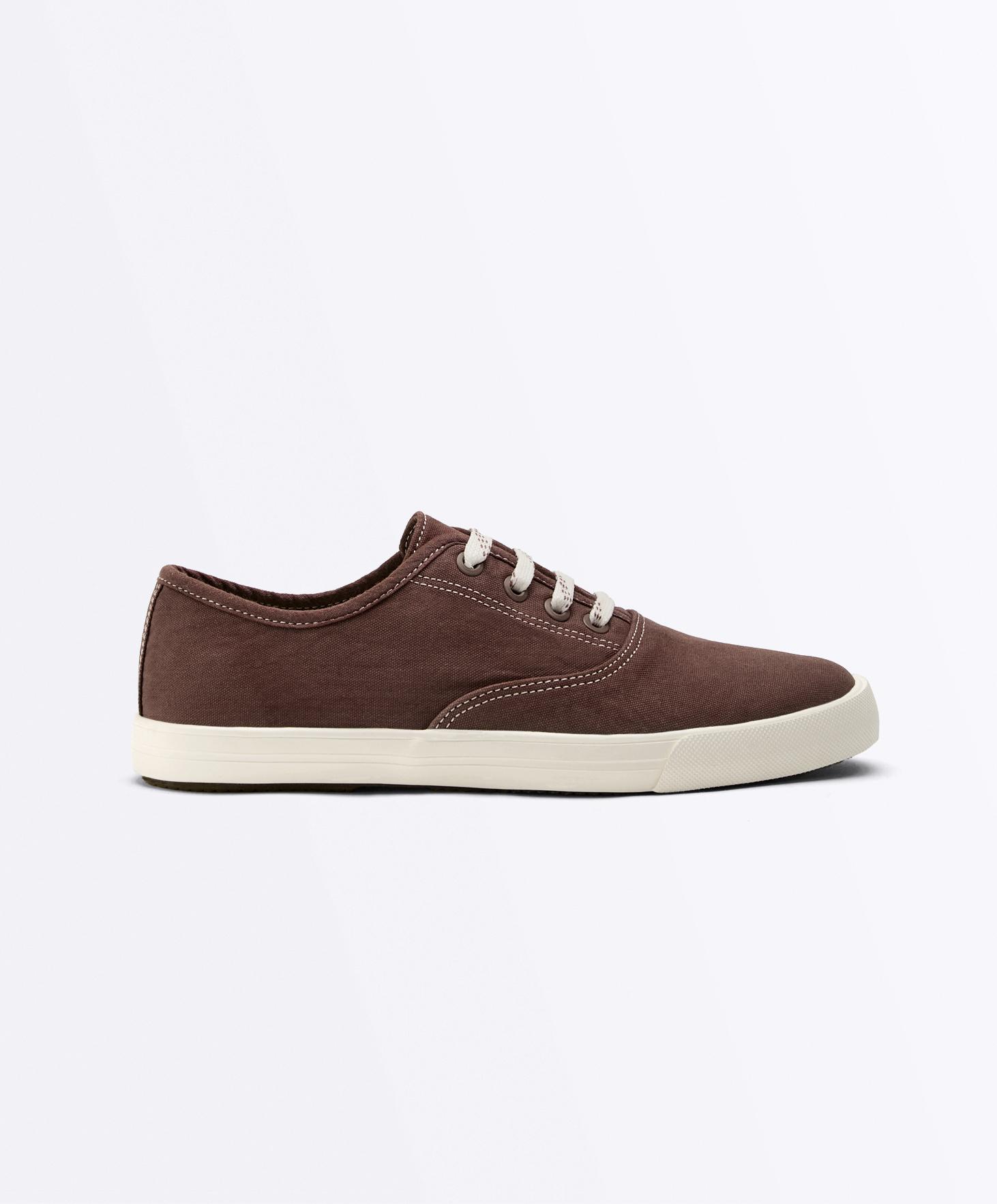 Canvas trainers — BROWN
