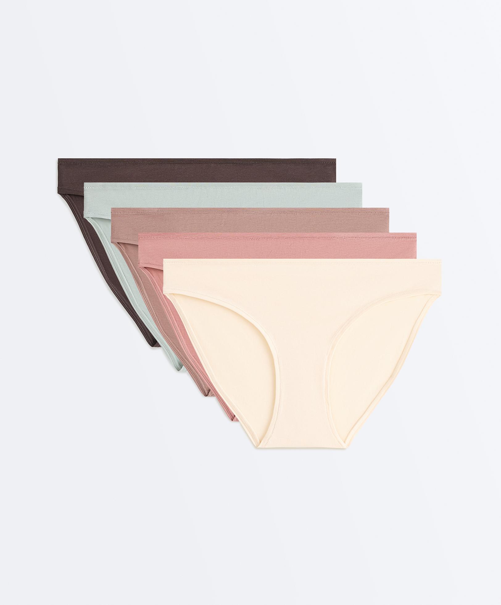 5 cotton blend classic briefs — ROSETTE BLUSH