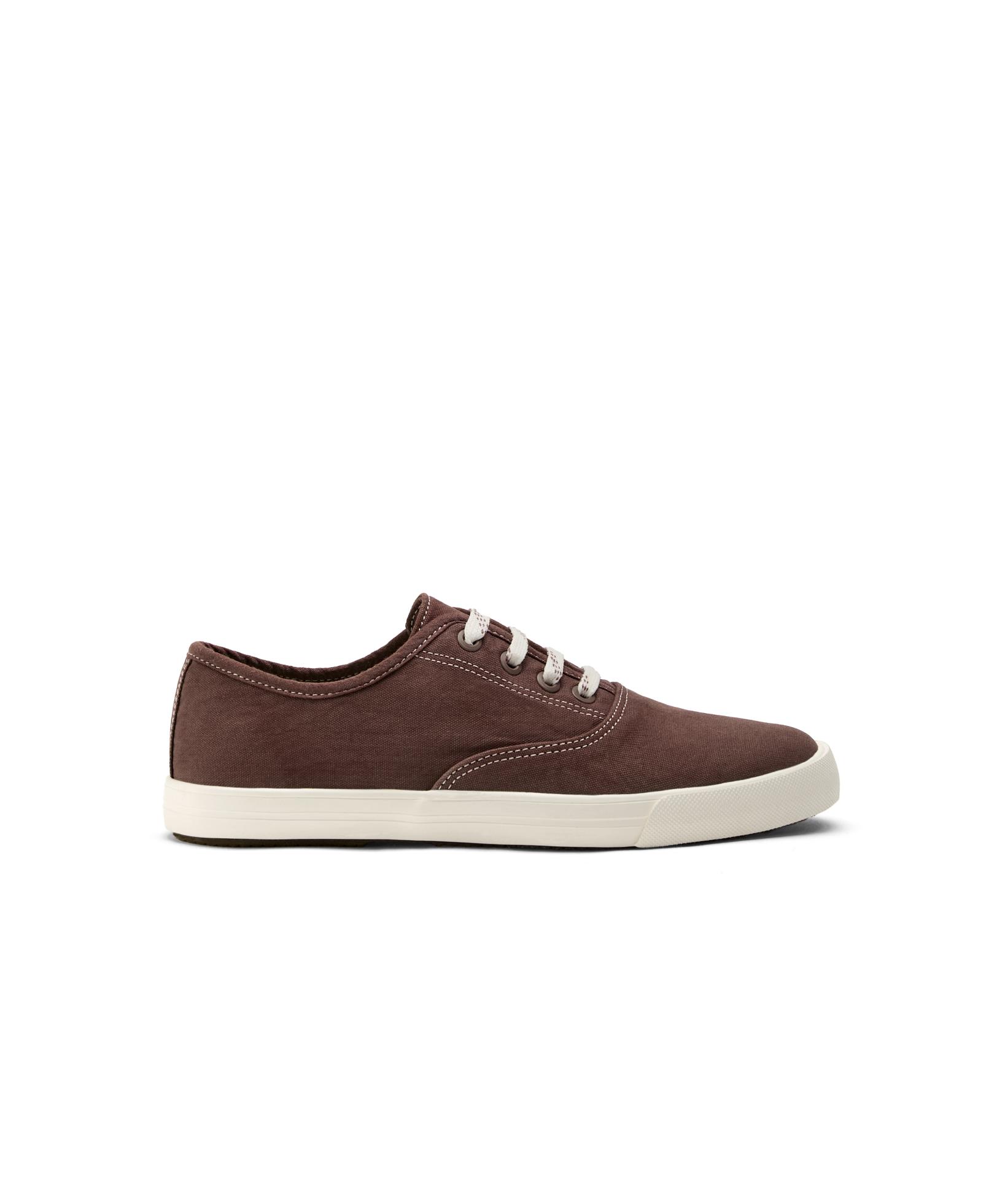 Canvas trainers — BROWN