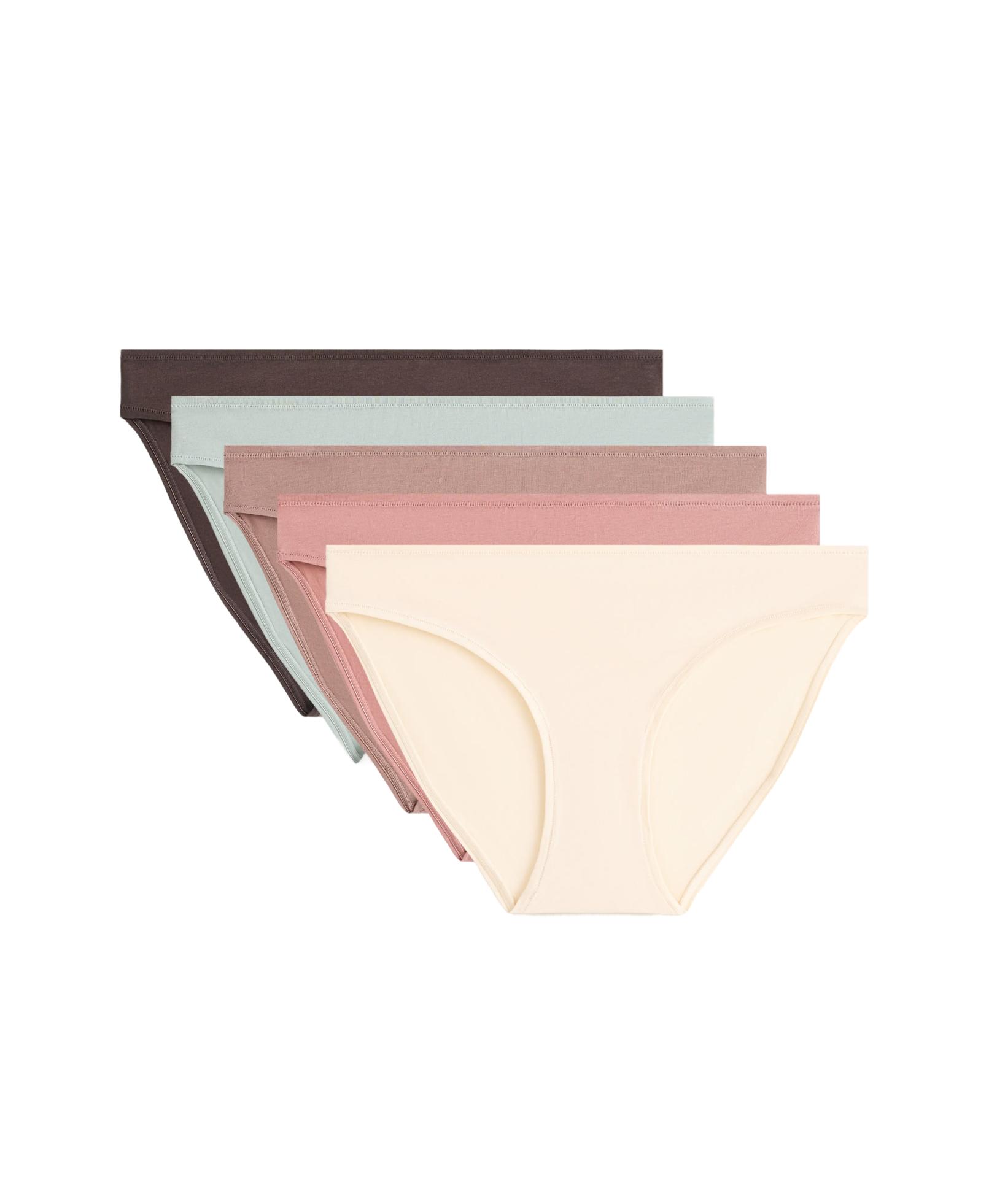 5 cotton blend classic briefs — ROSETTE BLUSH