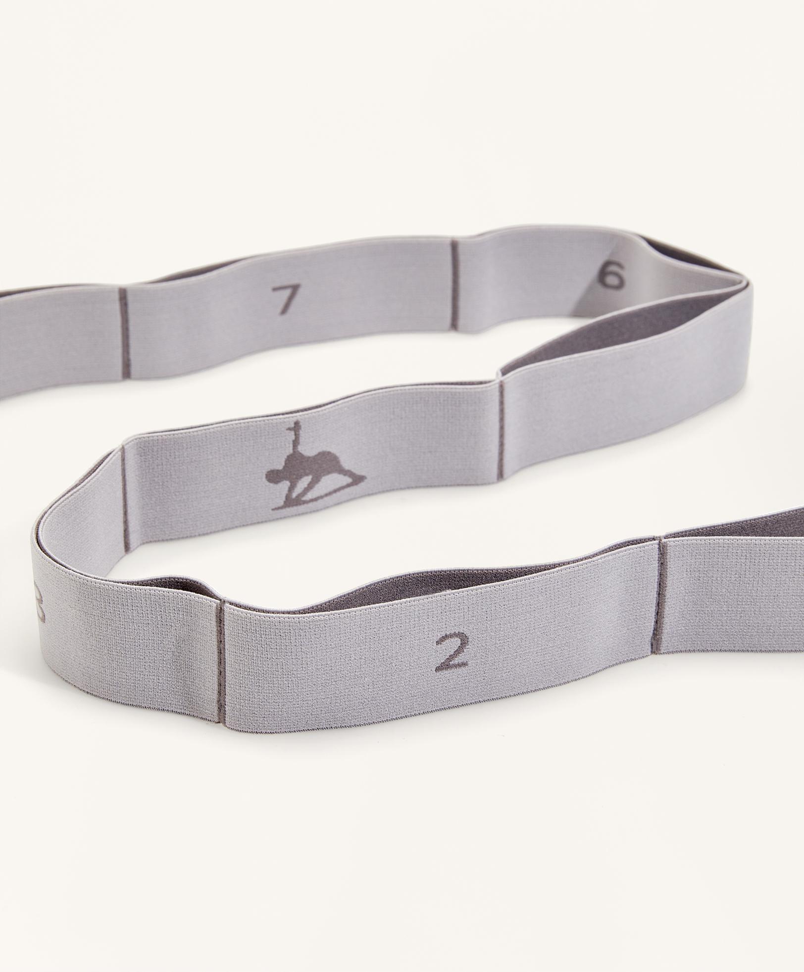 Fascia elastica Fascia elastica