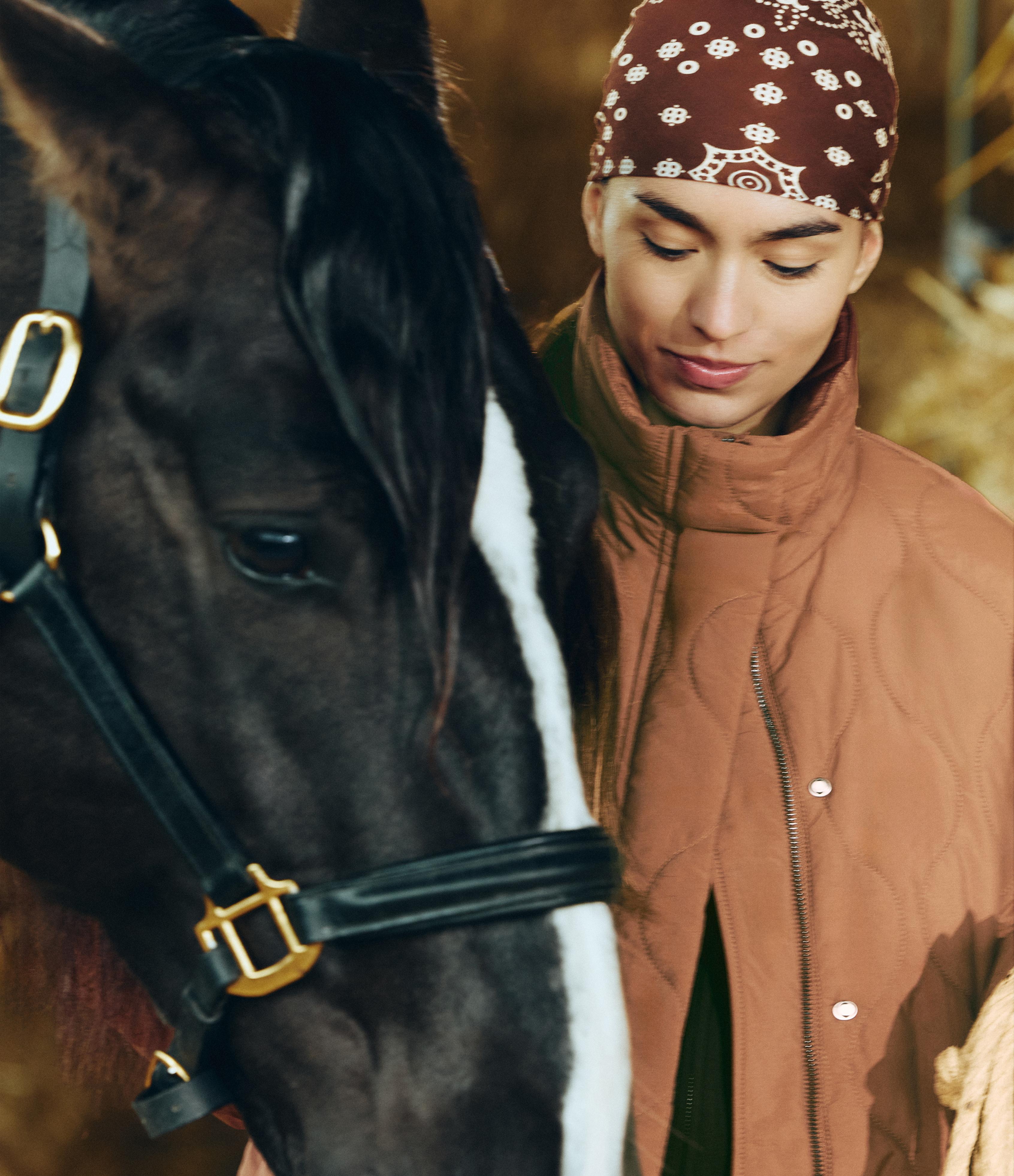 Water-repellent FELLEX® AEROGEL padded jacket — DARK BRICK