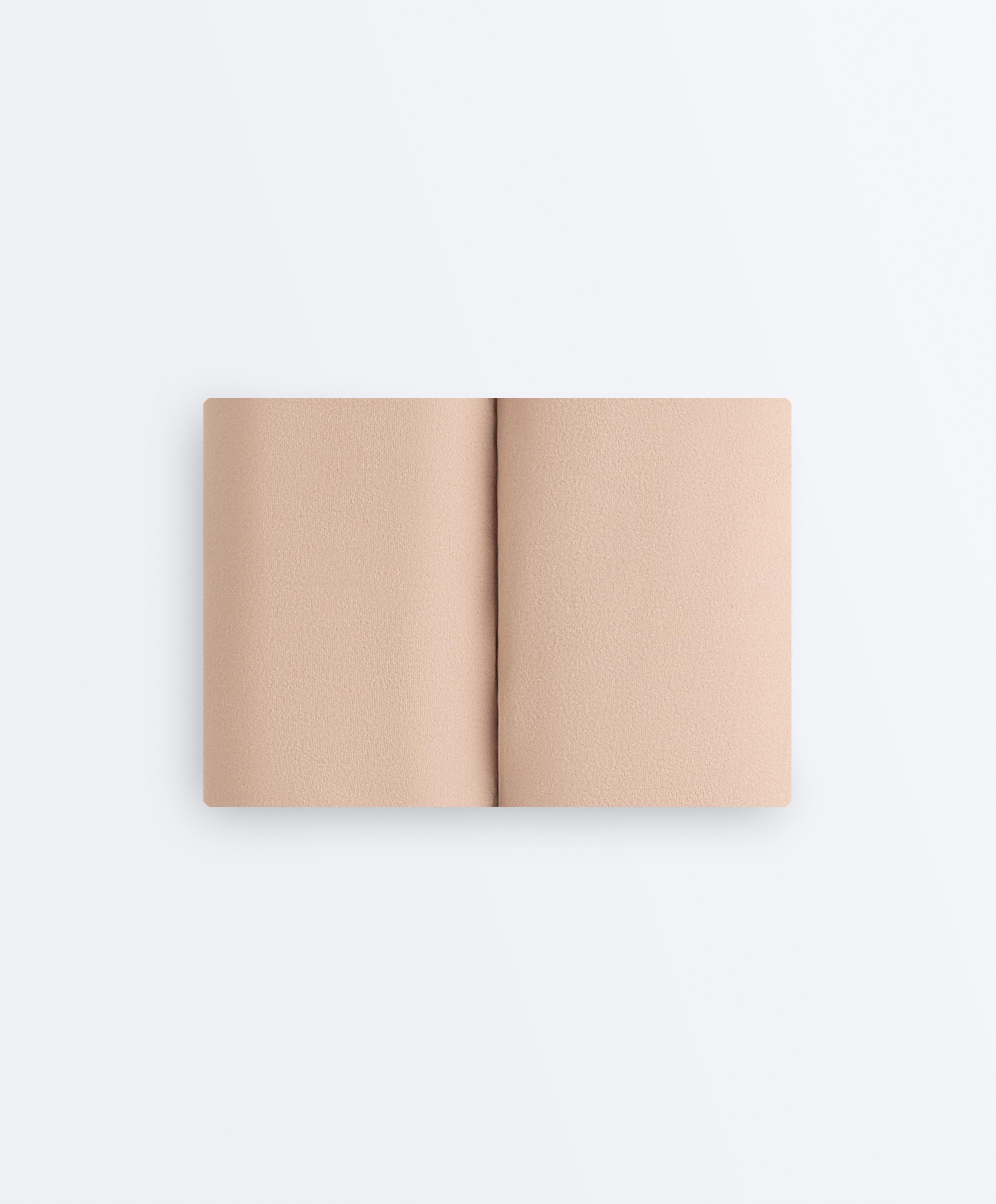 2 invisible polyamide blend mid-rise classic briefs — BEIGE