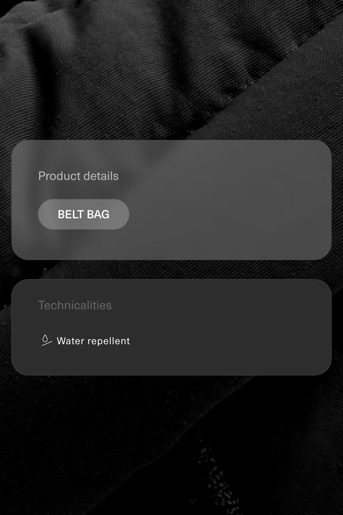 Water-repellent nylon belt bag — BLACK