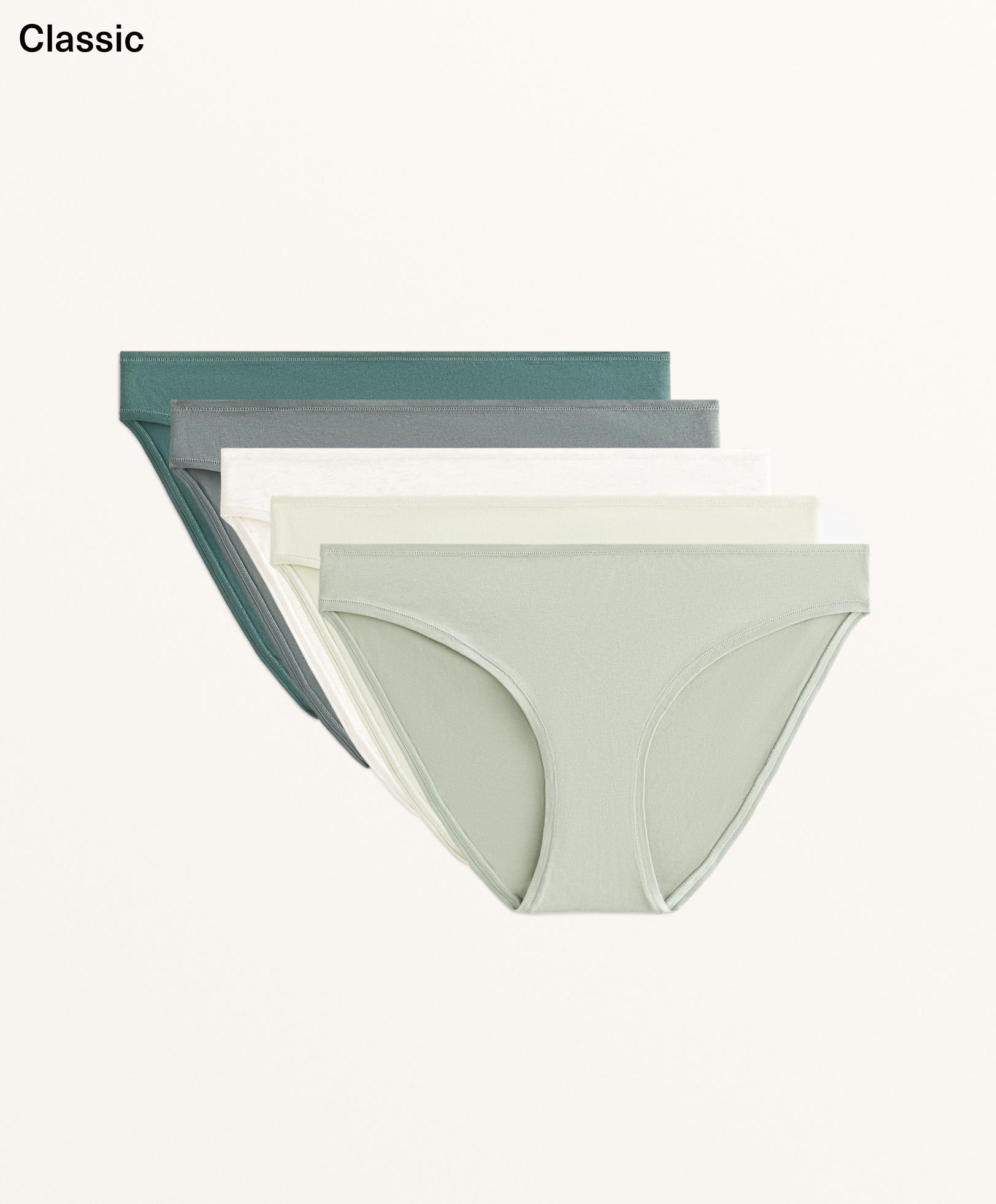 5 cotton blend classic briefs