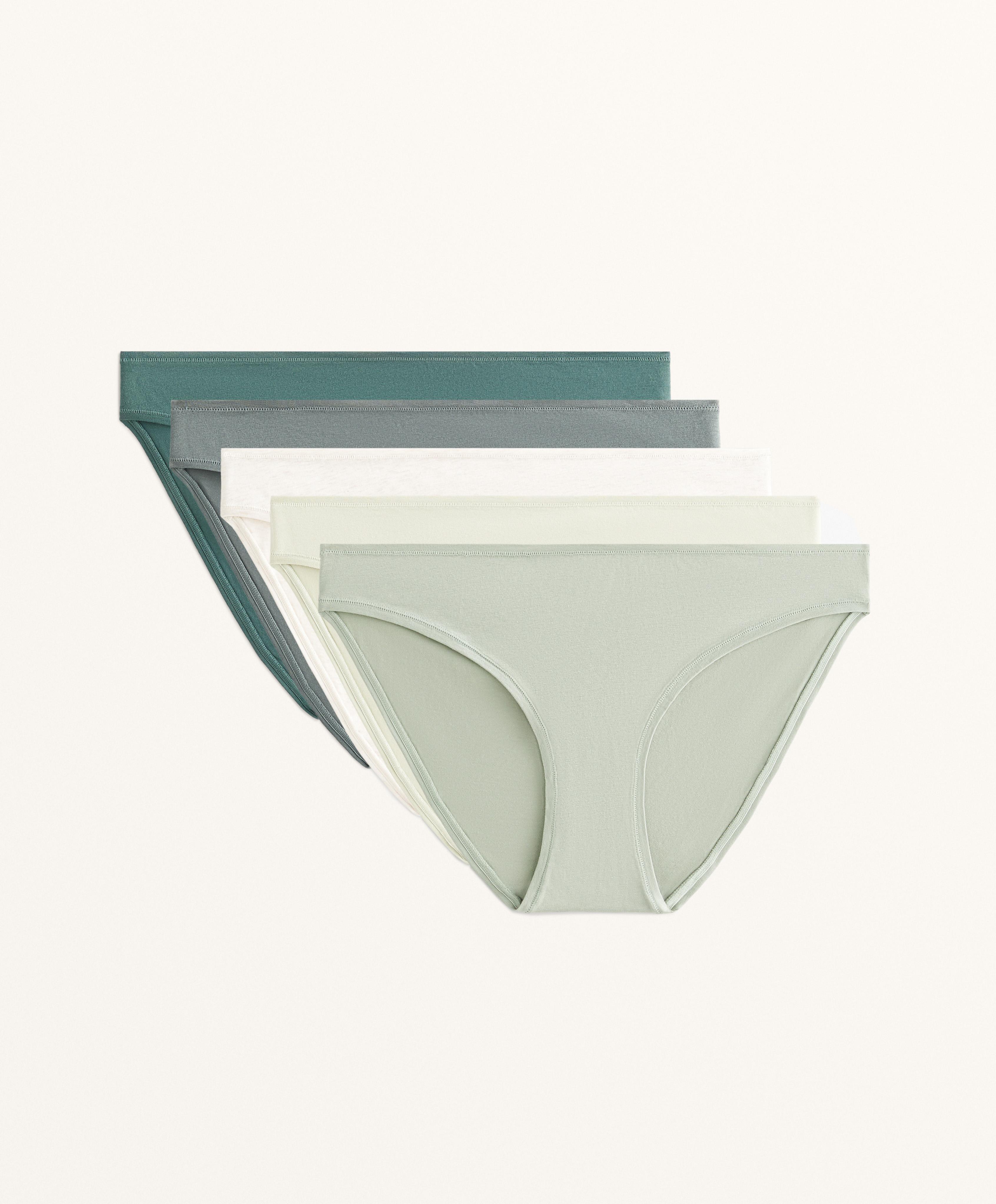 5 klassische Slips aus Baumwollmischung 5 klassische Slips aus Baumwollmischung